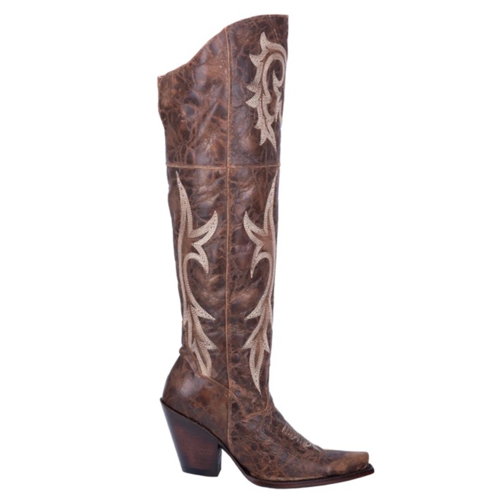 NEW Dan Post Jilted Brown Boot